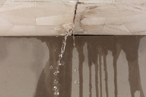 Professional Structural Drying technician working in Counselor, NM